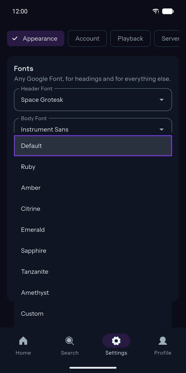 The theme picker in Settings